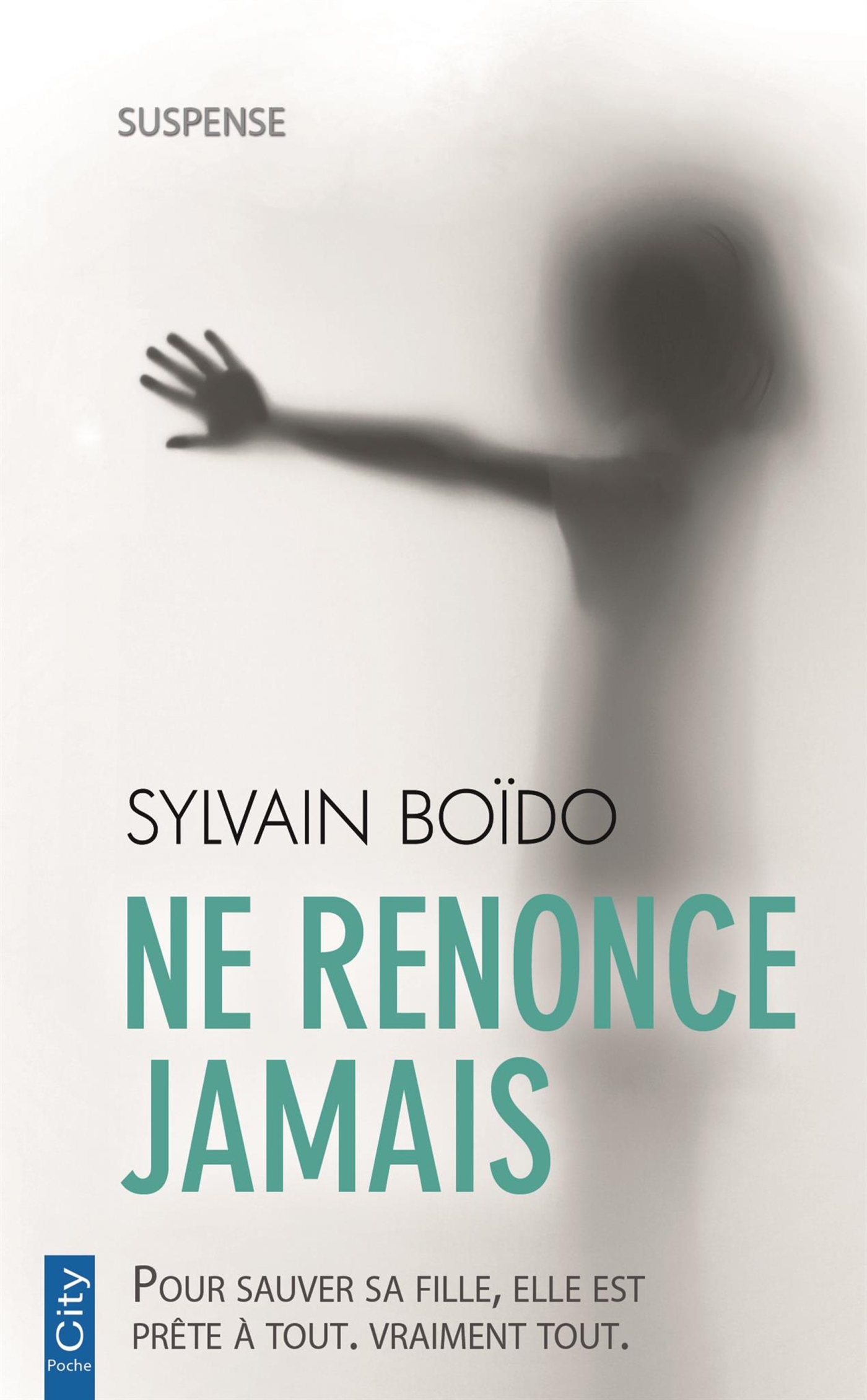 Ne renonce jamais (9782824613956-front-cover)