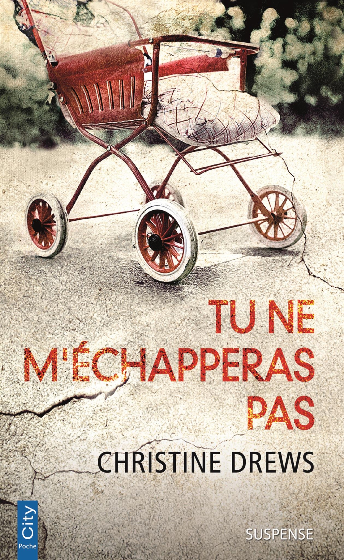 Tu ne m'échapperas pas (9782824614380-front-cover)