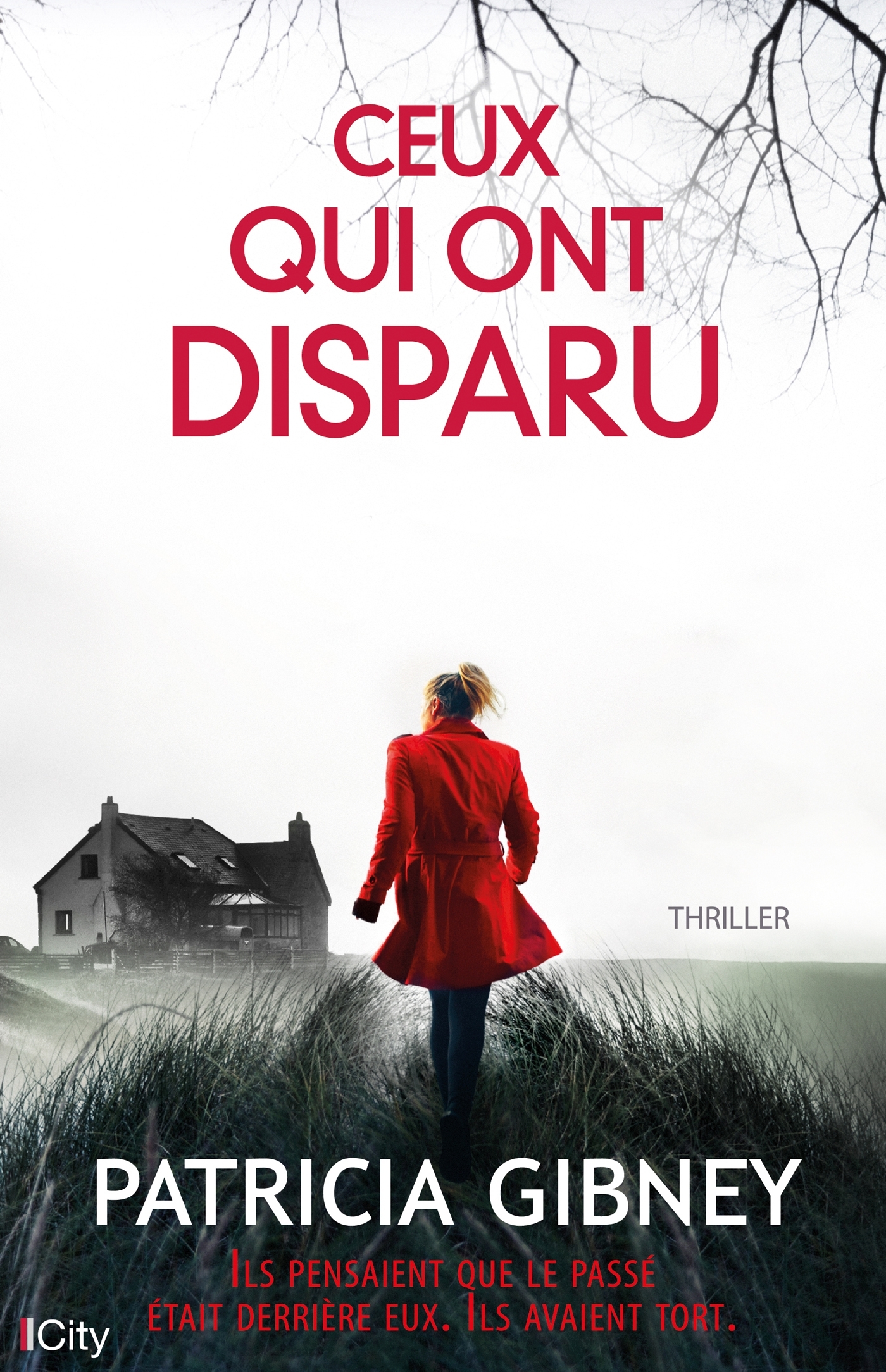 Ceux qui ont disparu (9782824611655-front-cover)