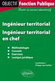 Ingénieur territorial : Ingénieur territorial en chef (9782729864873-front-cover)