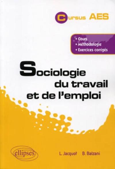 Sociologie du travail et de l'emploi (9782729860707-front-cover)