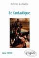 Le fantastique (9782729803148-front-cover)