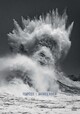 Tempêtes - Mathieu Rivrin (9782737393402-front-cover)