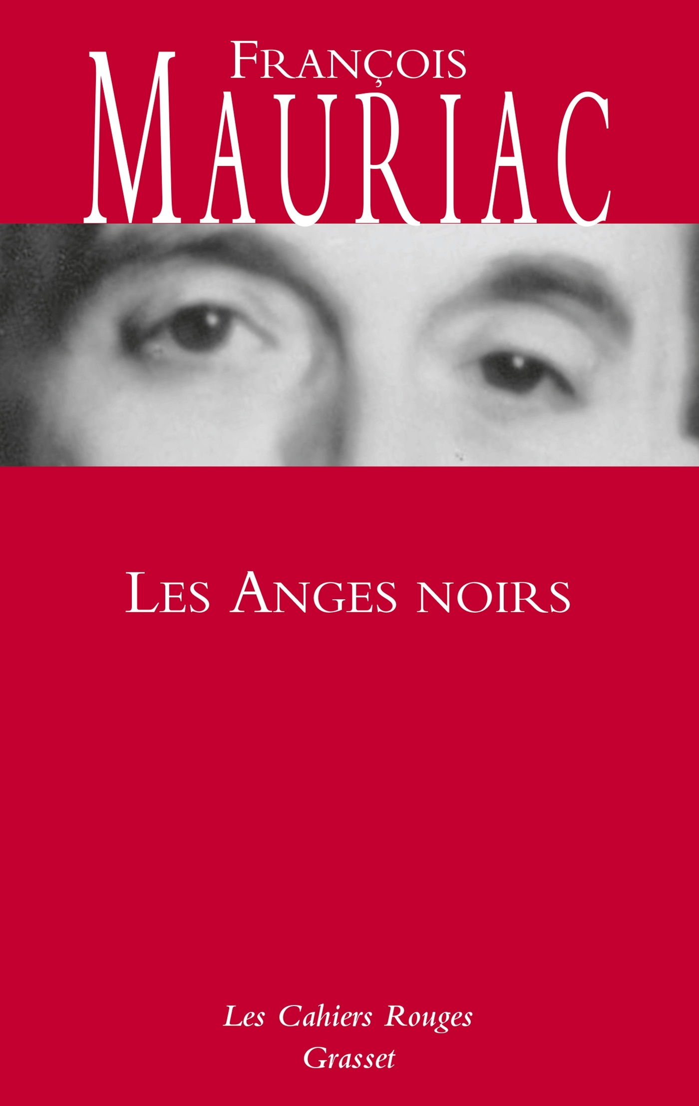 Les anges noirs, roman (9782246142539-front-cover)