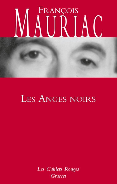 Les anges noirs, roman (9782246142539-front-cover)