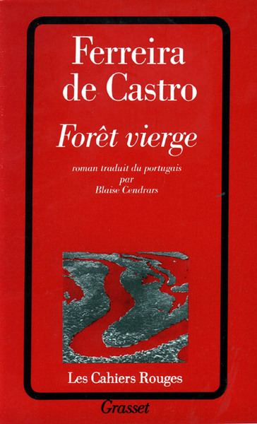 Forêt vierge (9782246119128-front-cover)