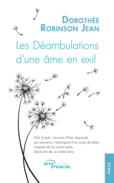 Les Déambulations d'une âme en exil (9782385801854-front-cover)