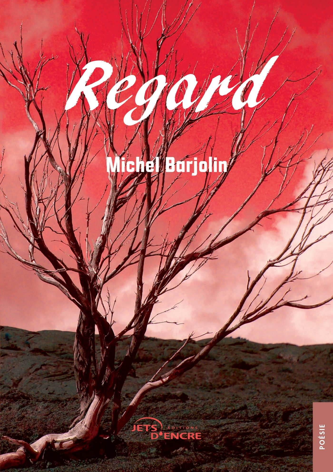Regard (9782385802127-front-cover)