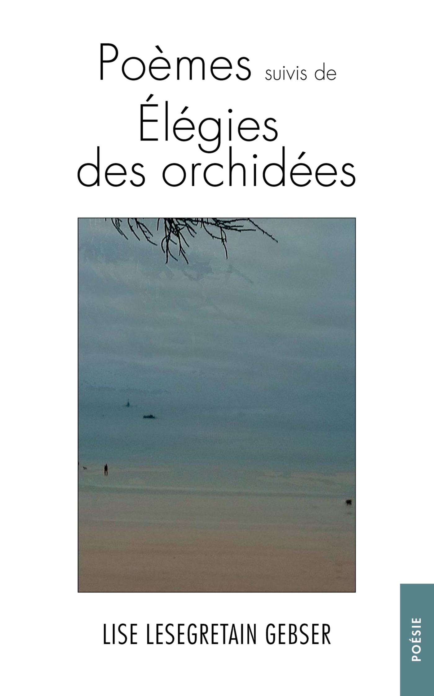 Poèmes suivis de Élégies des orchidées (9782385802950-front-cover)