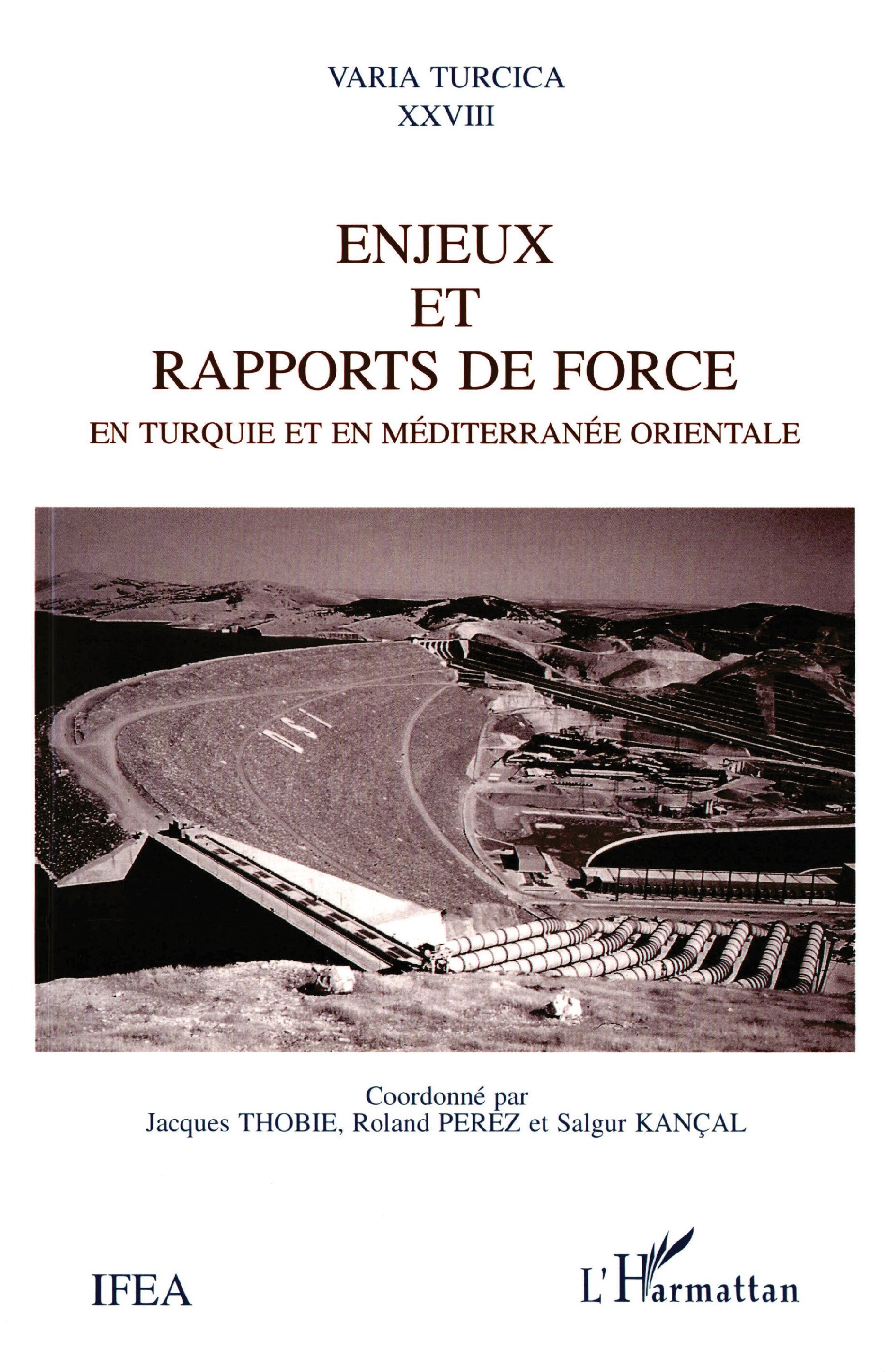 Enjeux et rapports de force en Turquie et en Méditerranée Orientale (9782738443816-front-cover)