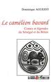 Le caméléon bavard, Contes et légendes du Sébégal et du Bénin (9782738430526-front-cover)