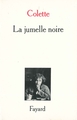 La Jumelle noire (9782213025063-front-cover)
