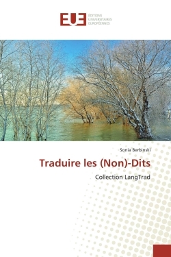 Traduire Les (Non)-Dits (9783639547245-front-cover)