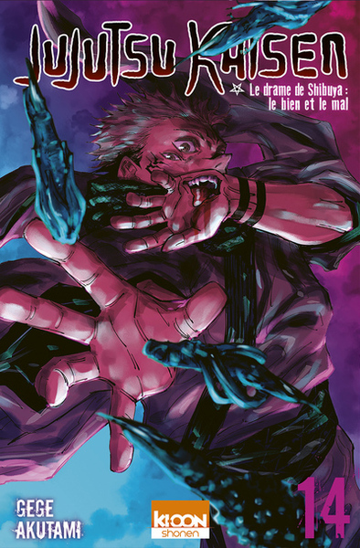 Jujutsu Kaisen T14 (9791032711194-front-cover)