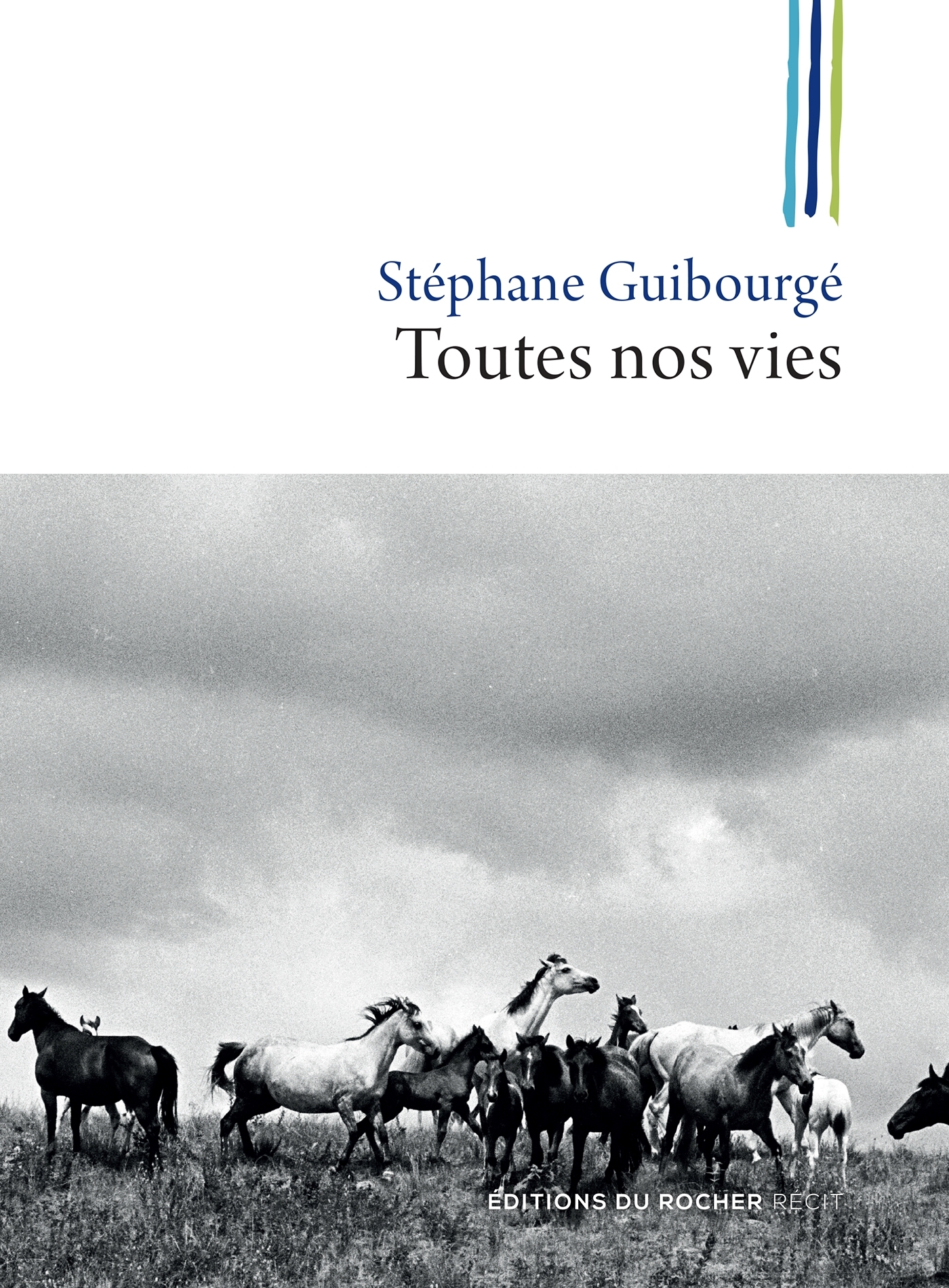 Toutes nos vies (9782268079097-front-cover)