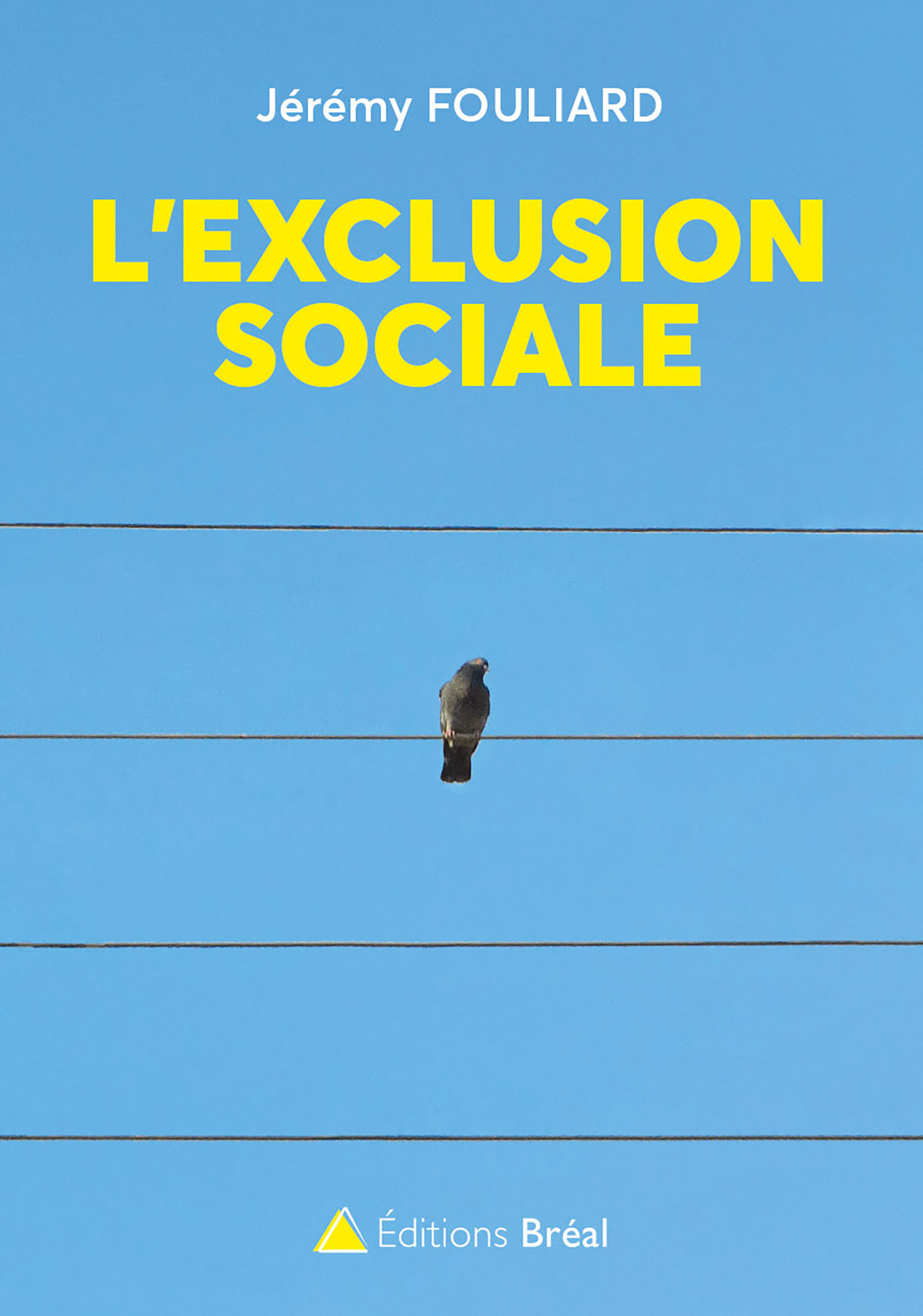 L'exclusion sociale (9782749538853-front-cover)