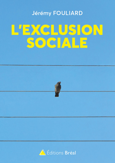 L'exclusion sociale (9782749538853-front-cover)