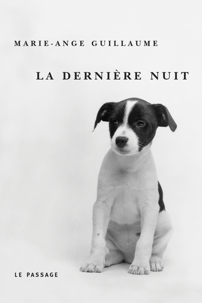 La Dernière nuit (9782847420203-front-cover)