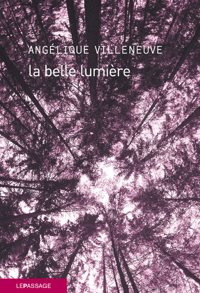La belle lumière (9782847424478-front-cover)