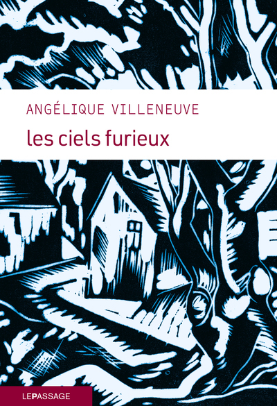 Les Ciels furieux (9782847425048-front-cover)