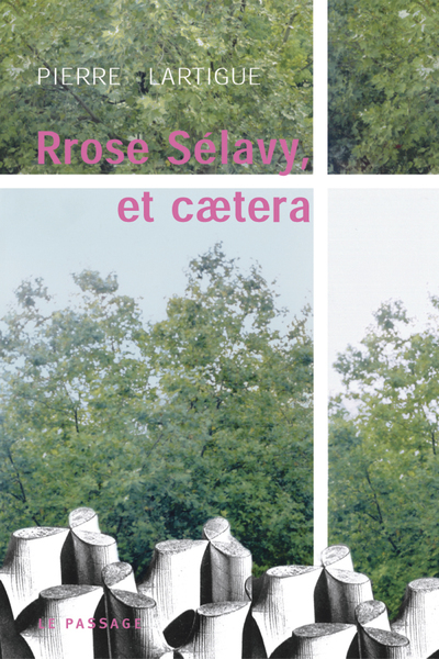 Prose Selavy et caetera... (9782847420432-front-cover)