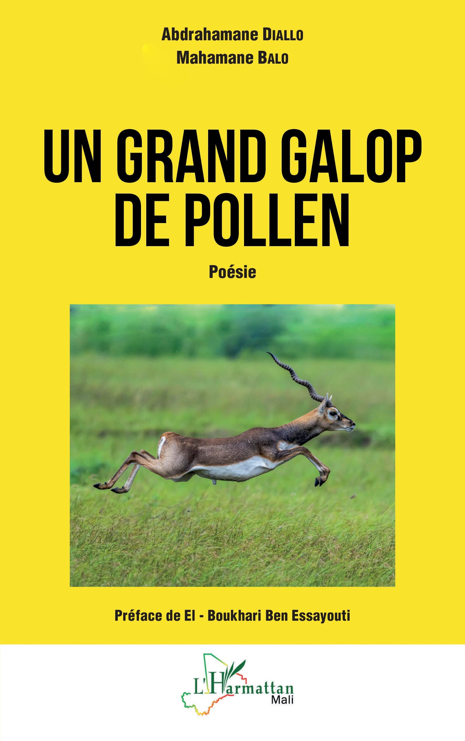 Un grand galop de pollen, Poésie (9782140492648-front-cover)