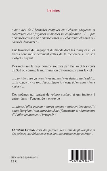 brisées (9782336616971-back-cover)