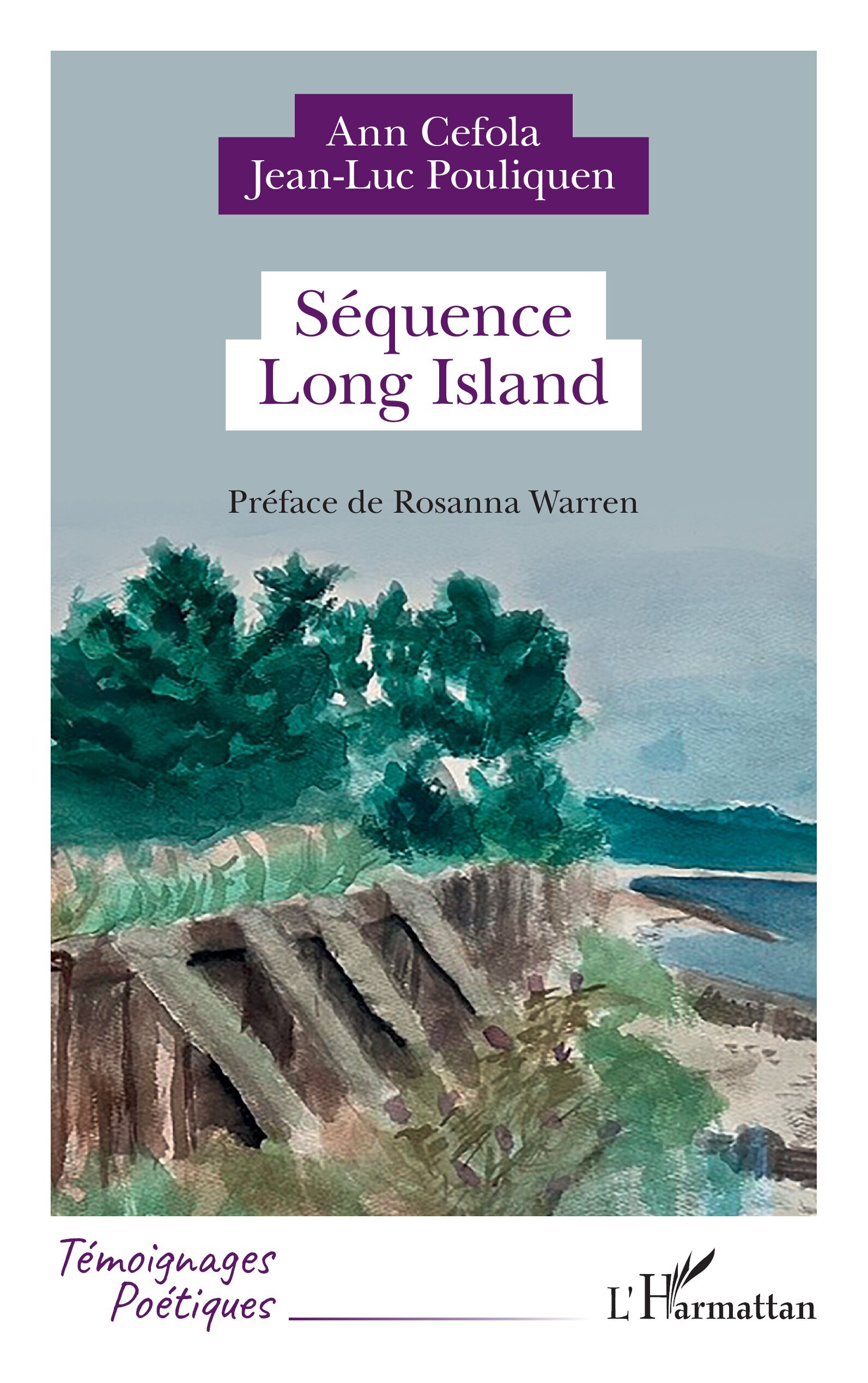 Séquence Long Island (9782336620879-front-cover)