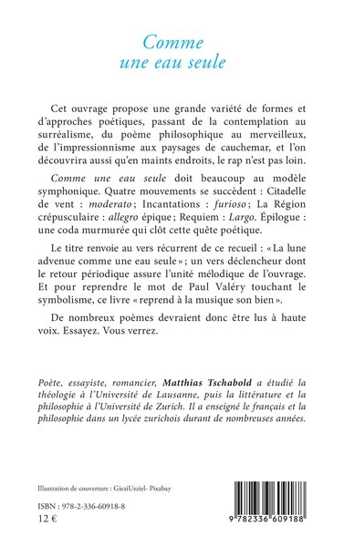 Comme une eau seule (9782336609188-back-cover)
