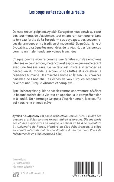 Les coups sur les clous de la réalité (9782336606712-back-cover)