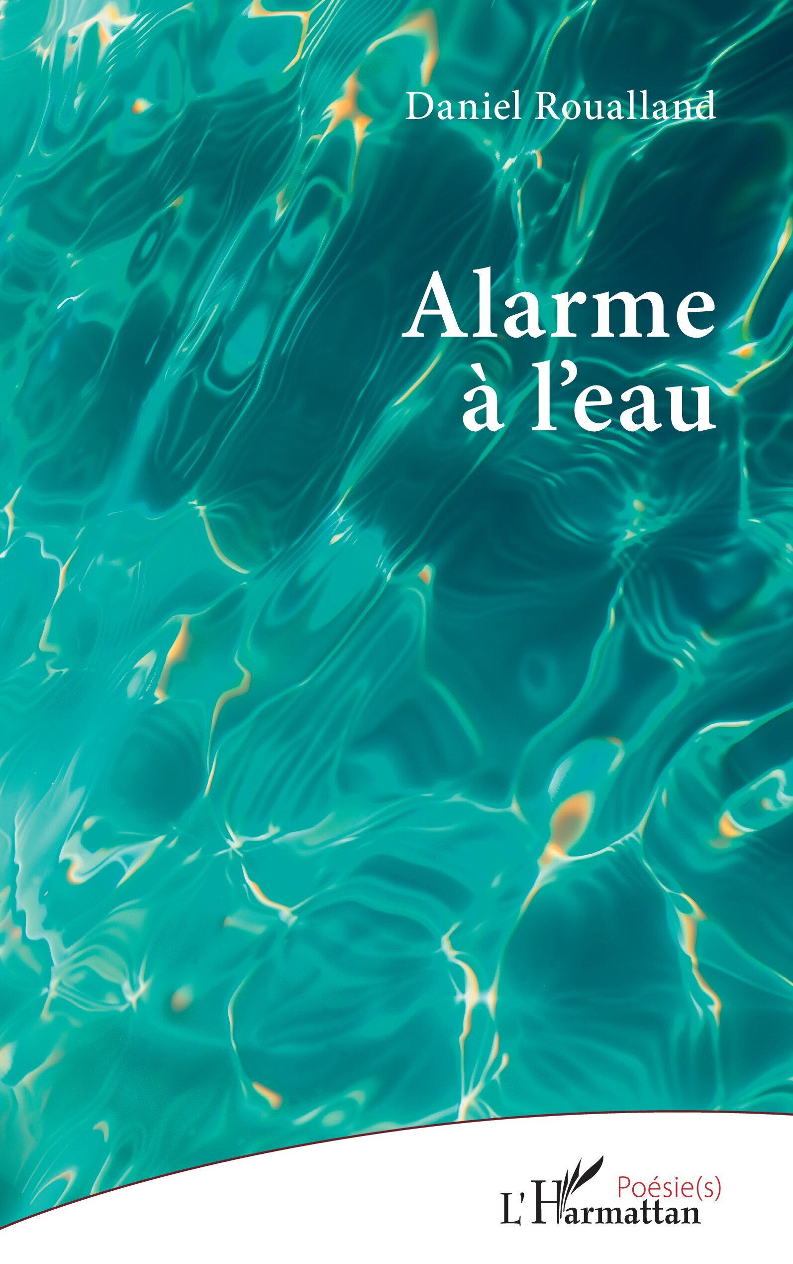 Alarme à l’eau (9782336620244-front-cover)