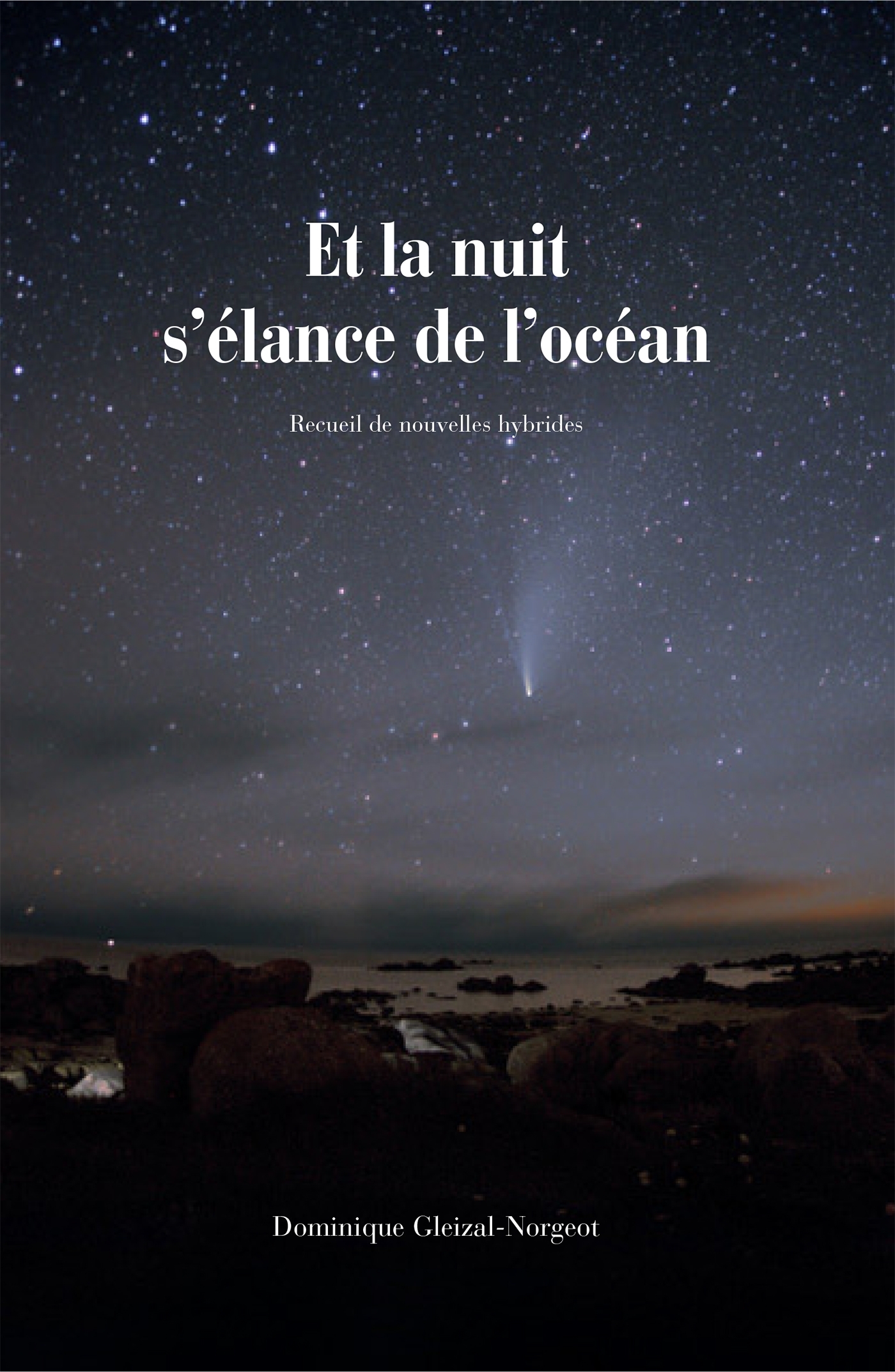 Et la nuit s'élance de l'océan, Recueil de nouvelles hybrides (9782379799402-front-cover)