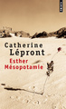 Esther Mésopotamie (9782757826539-front-cover)