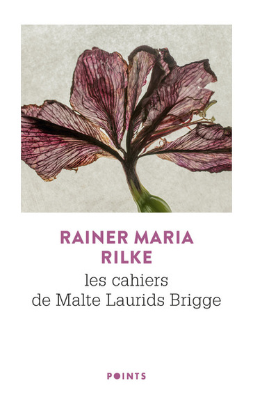 Les Cahiers de Malte Laurids Brigge (9782757882856-front-cover)