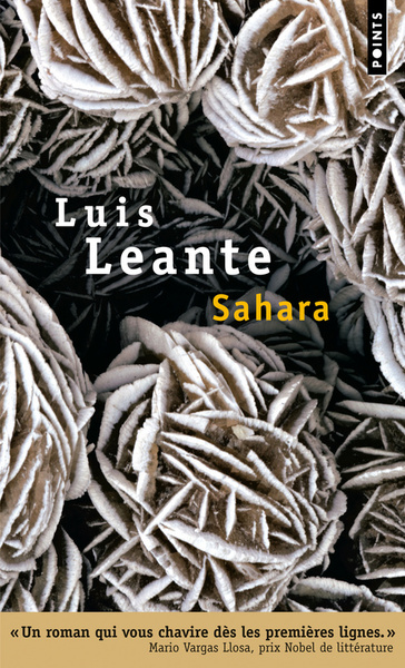 Sahara (9782757823101-front-cover)