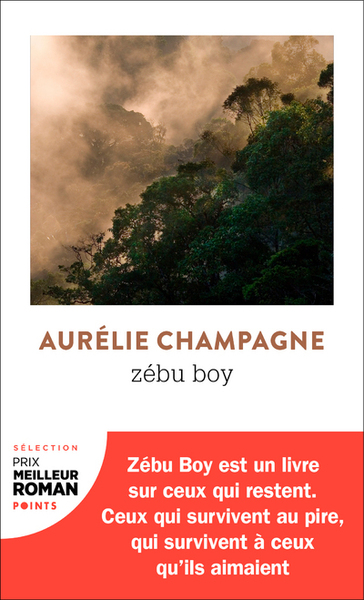 Zébu Boy (9782757883600-front-cover)