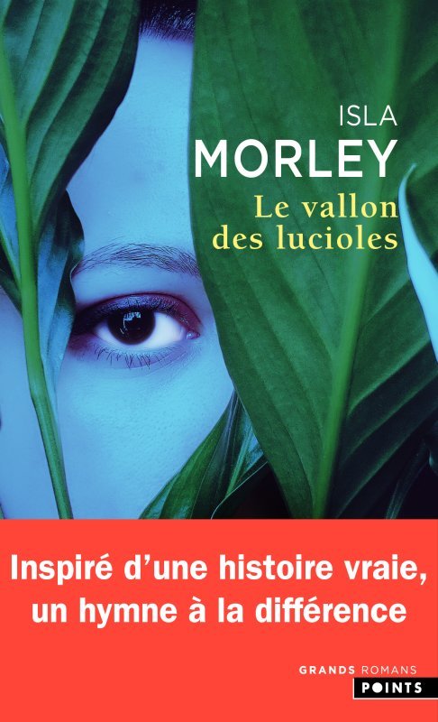 Le Vallon des lucioles (9782757894354-front-cover)