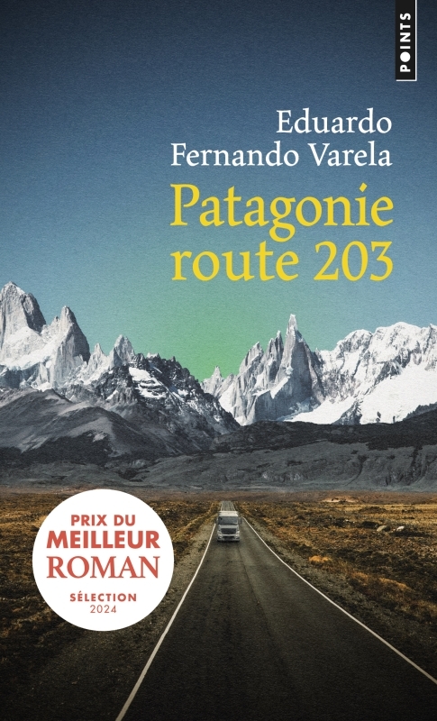 Patagonie route 203 (9782757890776-front-cover)