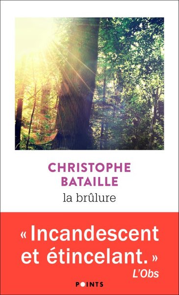 La Brûlure (9782757892312-front-cover)