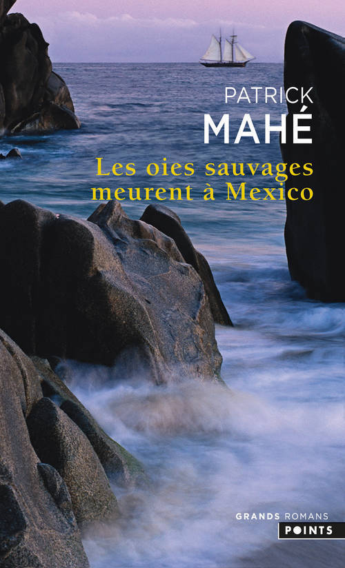 Les Oies sauvages meurent à Mexico (9782757843277-front-cover)