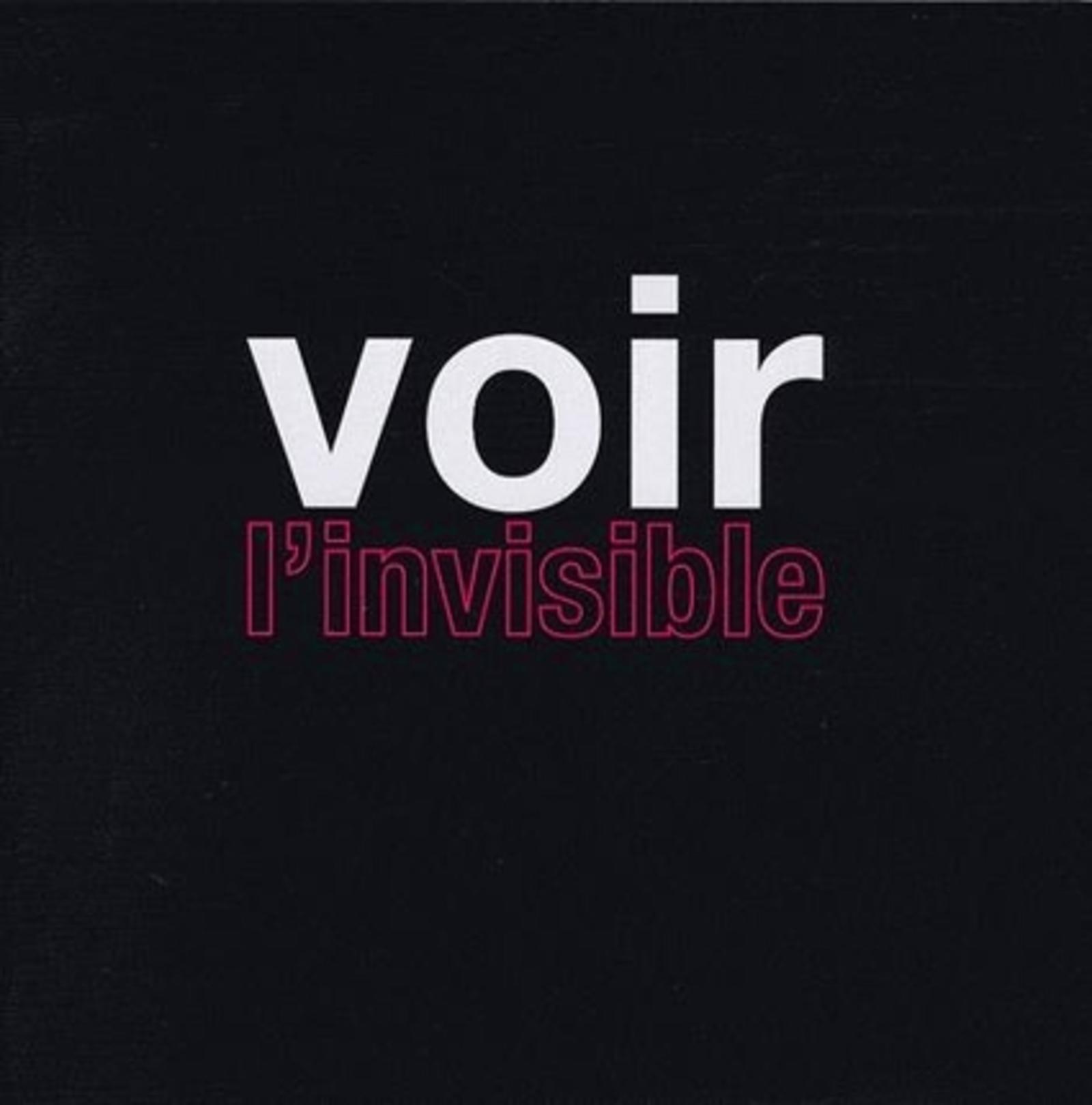Voir l'invisible (9782916097138-front-cover)