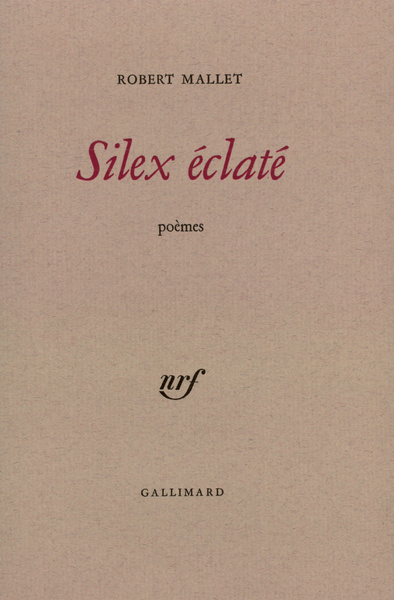 Silex éclaté (9782070295685-front-cover)