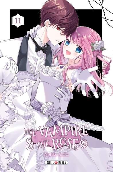 The Vampire and the Rose T11 (9782302101678-front-cover)