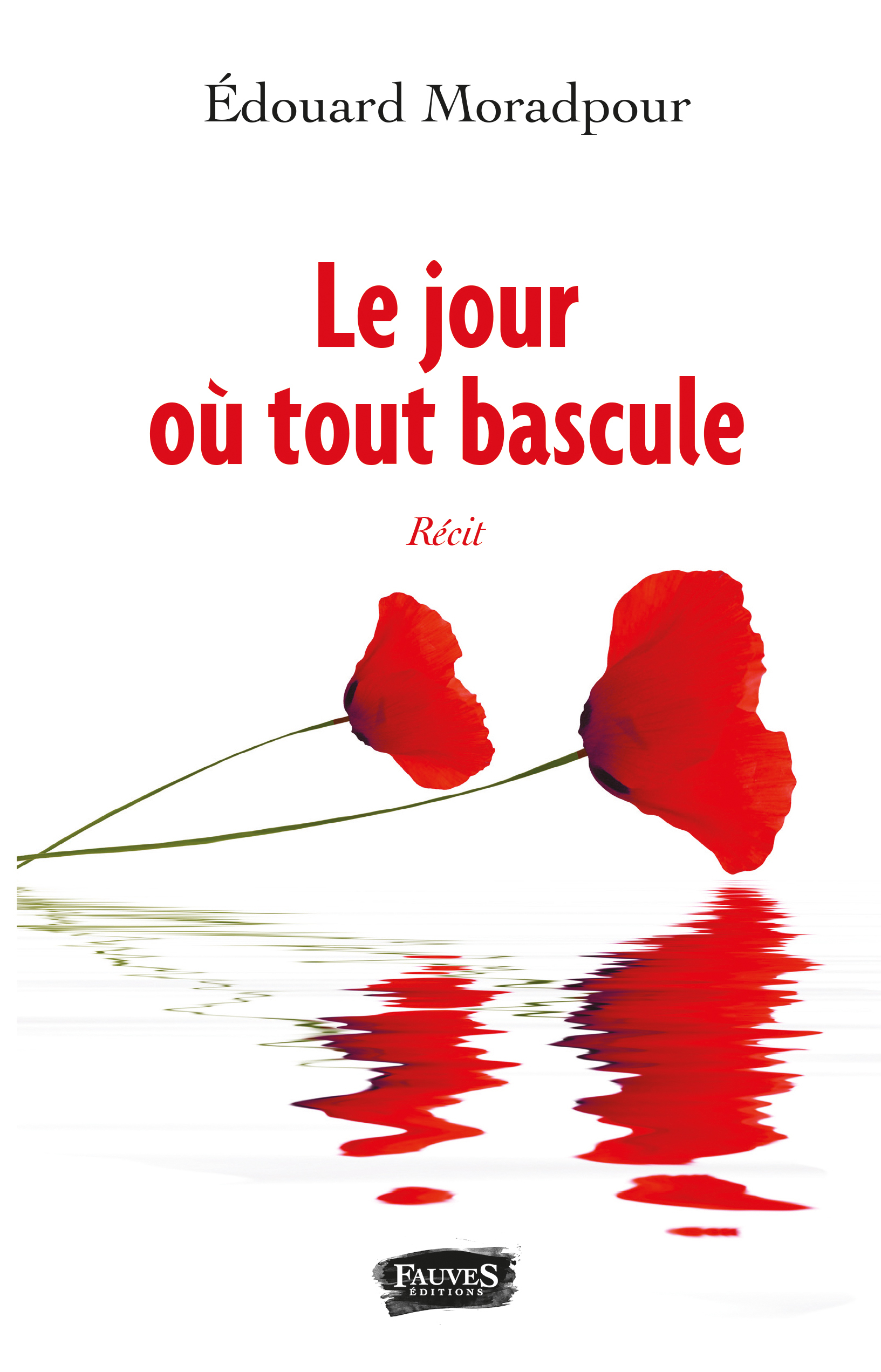 Le jour où tout bascule (9791030202700-front-cover)