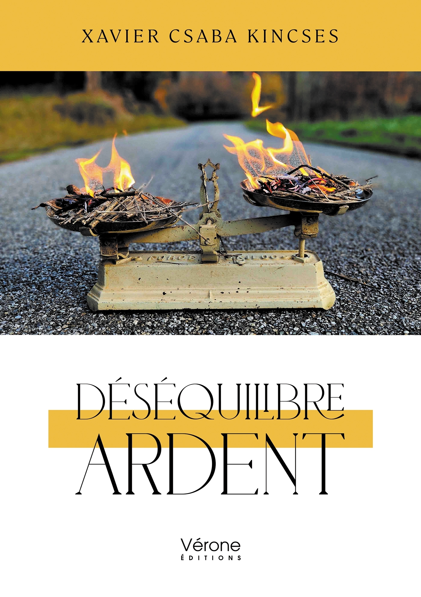Déséquilibre ardent (9791042314118-front-cover)