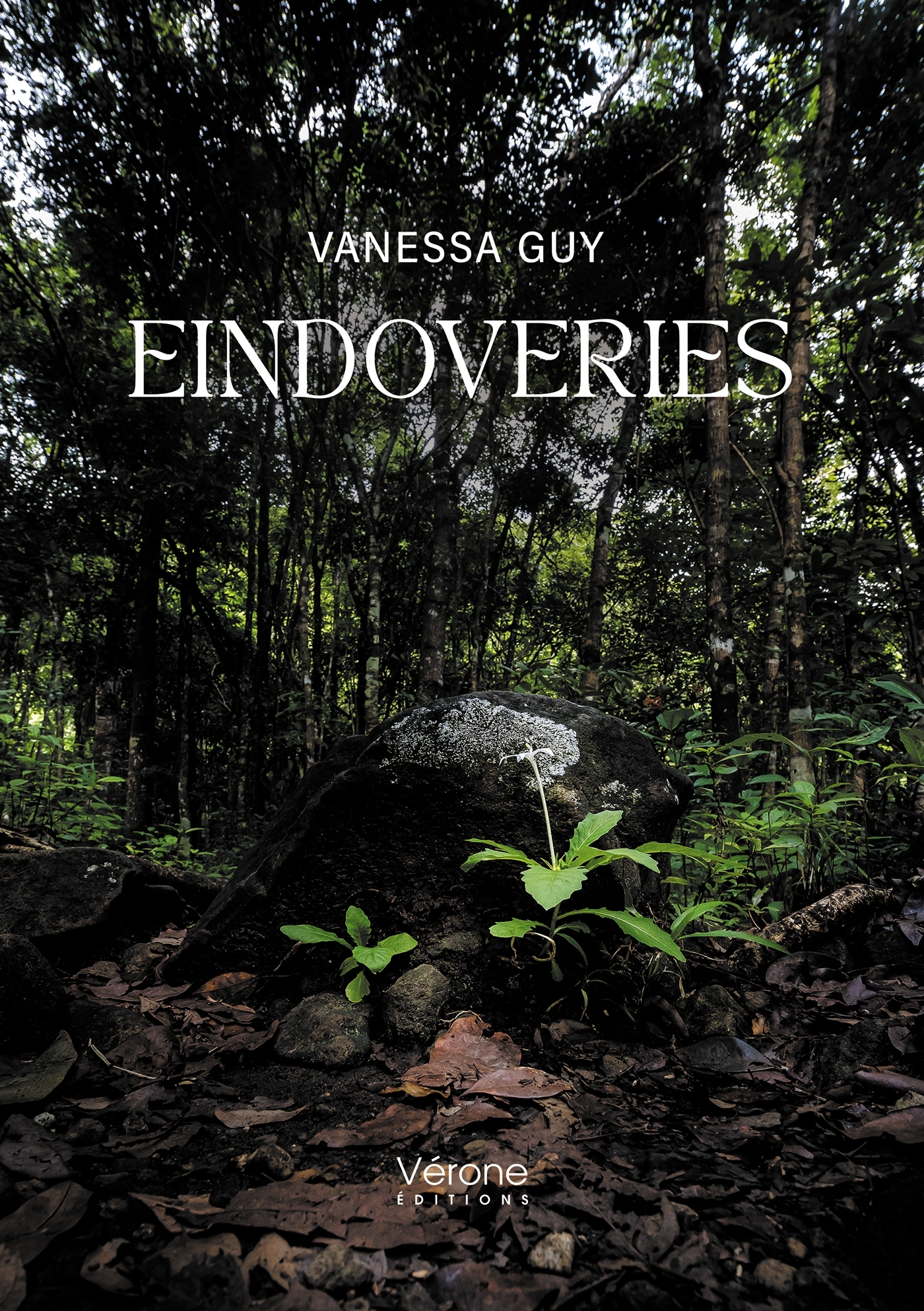 Eindoveries (9791042313913-front-cover)
