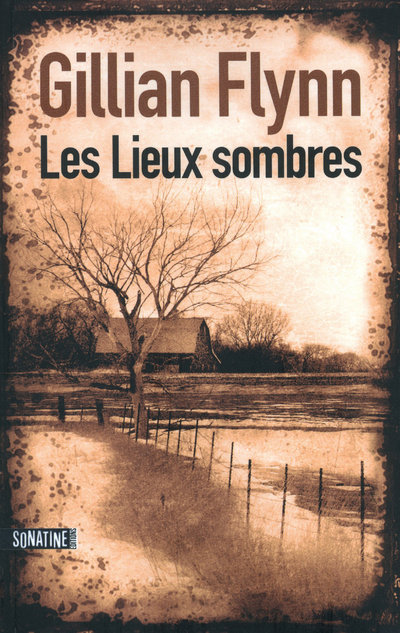 Les lieux sombres (9782355840357-front-cover)