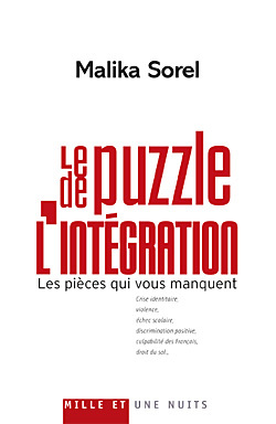 Le Puzzle de l'intégration, Les pièces qui vous manquent (9782755500295-front-cover)