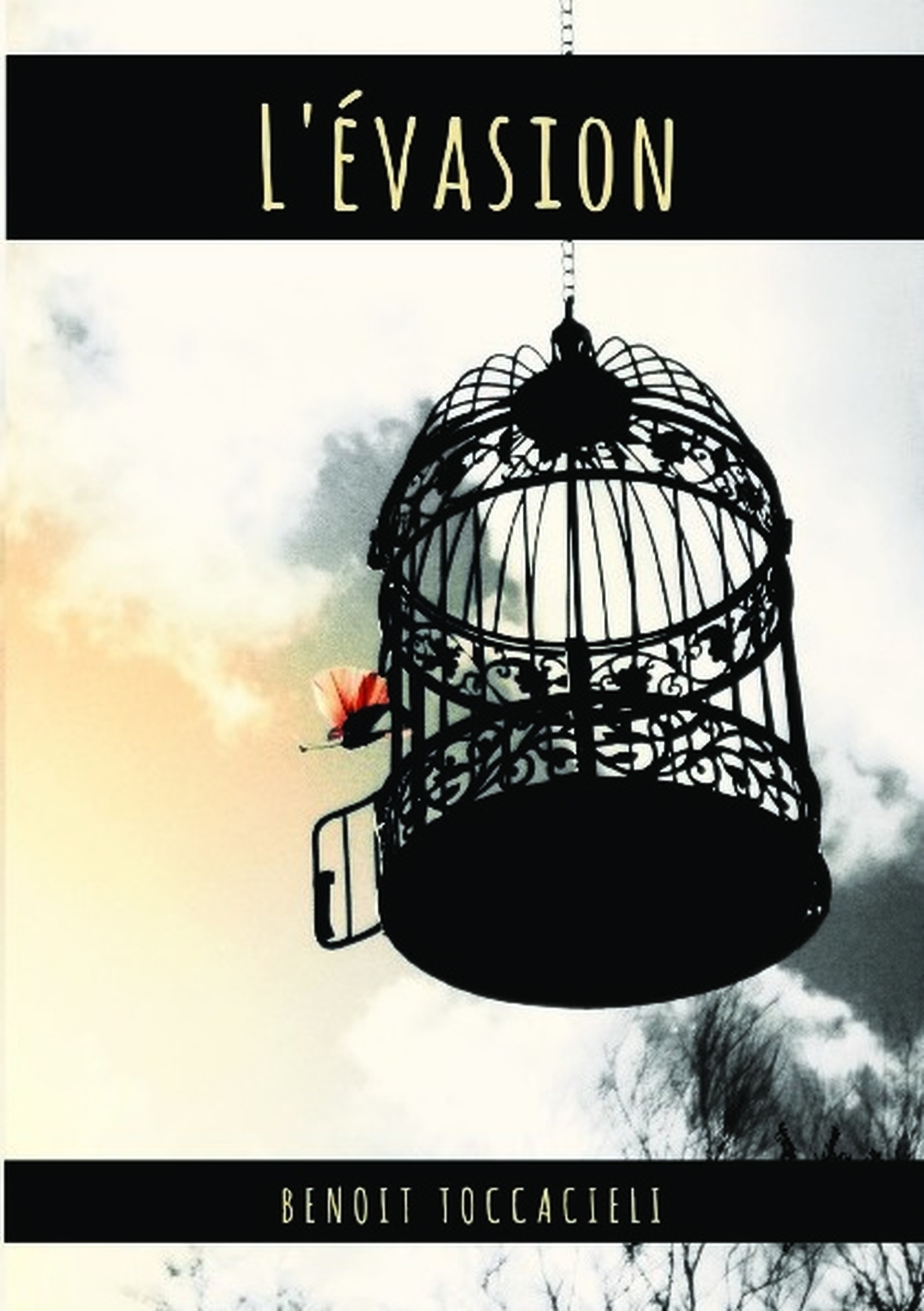 L'Evasion (9791022768597-front-cover)