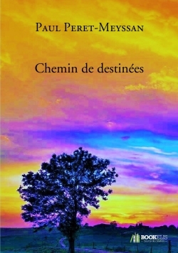 Chemin de destinées (9791022722995-front-cover)